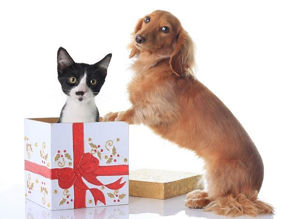 Picture for category Pets Gifts