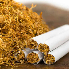 Picture for category Tobacco