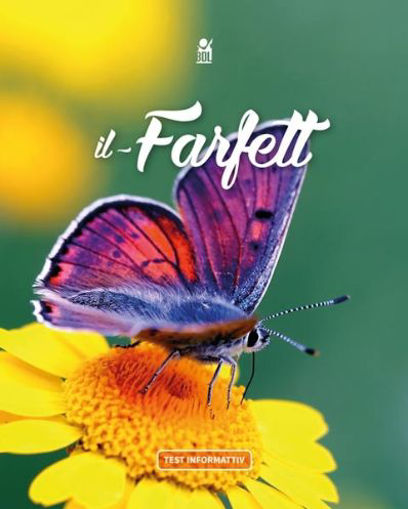 Picture of IL-FARFETT